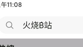 日本顶级b站大片