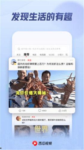 西瓜视频免费观看最新电视剧大全,最新电视剧大全盘点